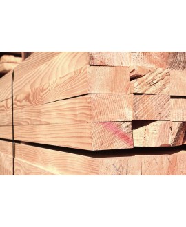 C03611_Hemlock