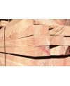 C03611_Hemlock