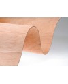 C00316_Flexply