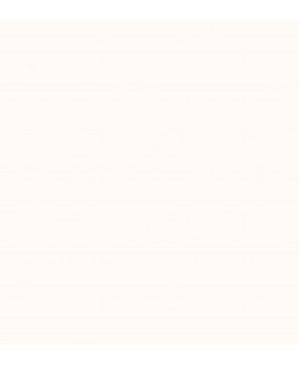 C00932_K0101_SM_20_20_lowWeb