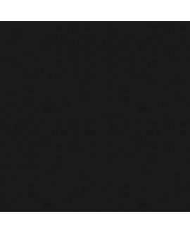C02955_218 AM
