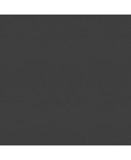 C02956_271 AM