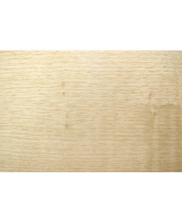 C04403_Edelfurnierte_Limba