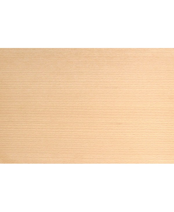 C04487_Edelfurnierte_Buche-gedaempft