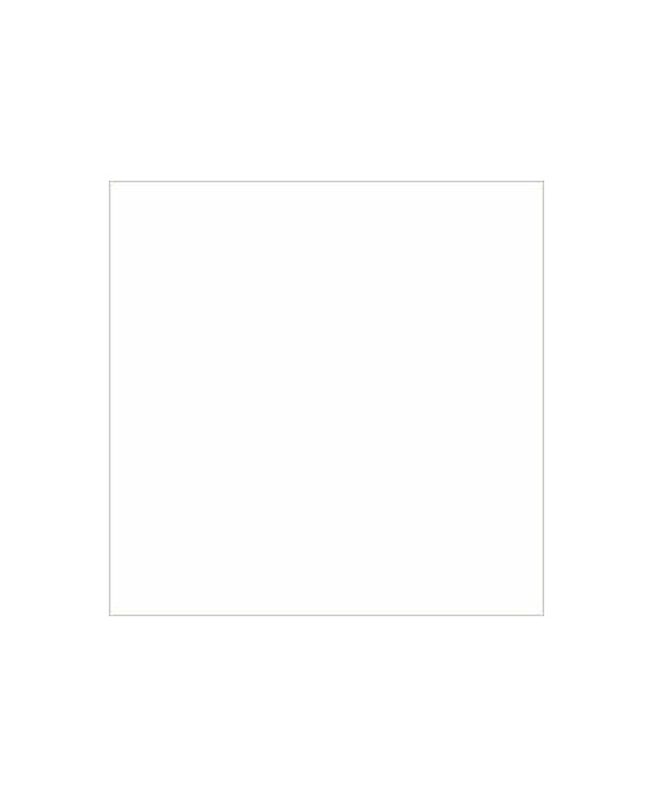 C04601_Designer White