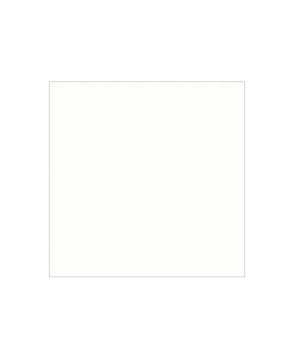 C04613_Cameo White