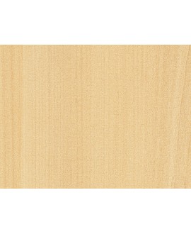 C05117_D727 BS