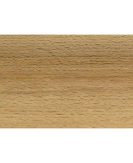 M10855_Hêtre