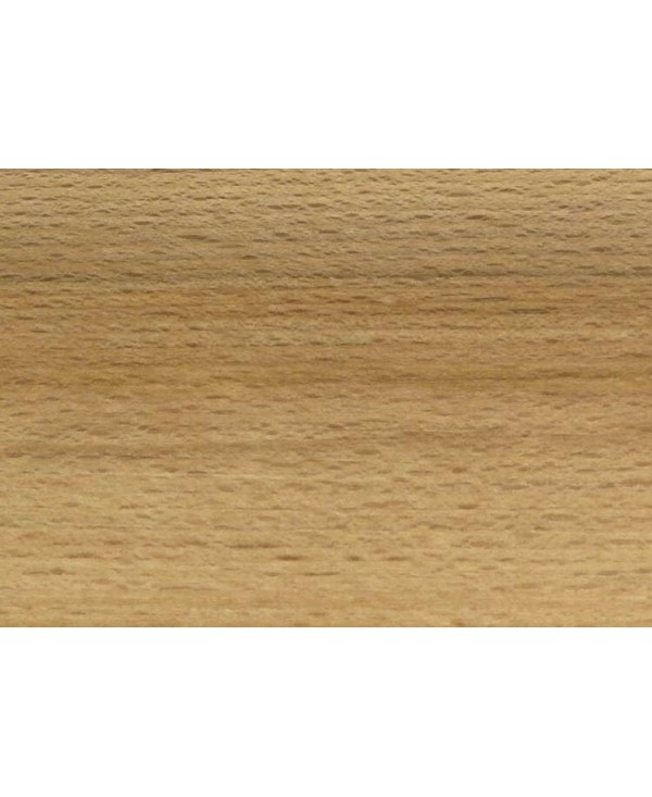 M10878_Hêtre