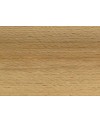 M10878_Hêtre