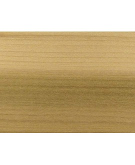 M15429_Tulipier
