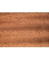 M15584_Sipo