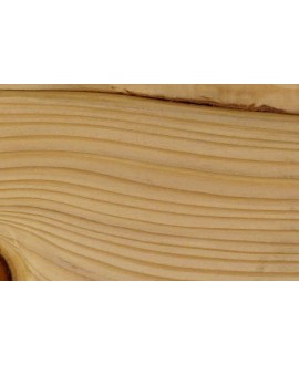 M15966_Sapin