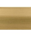 M15975_Tulipier