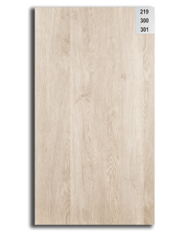 219_CoraboisParquet219