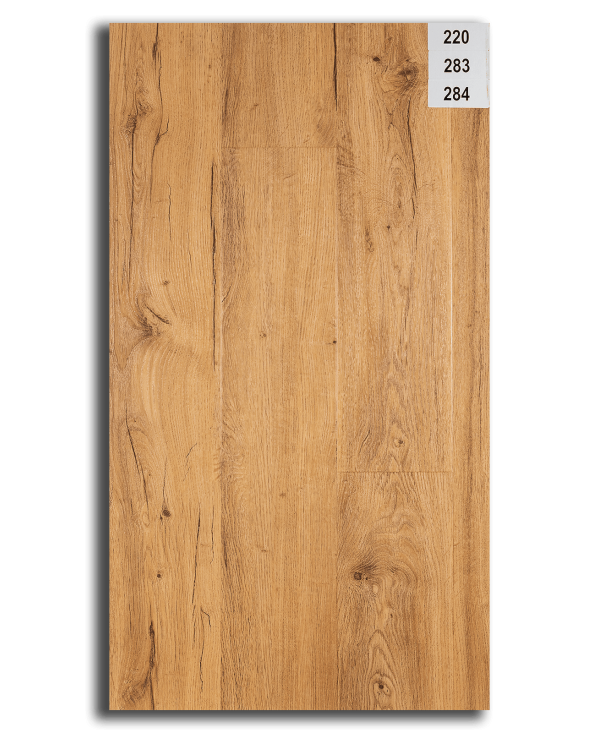 283_CoraboisParquet283